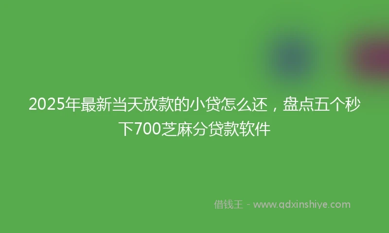 2025年最新当天放款的小贷怎么还，盘点五个秒下700芝麻分贷款软件