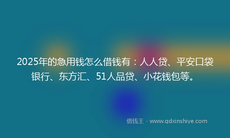 2025年的急用钱怎么借钱有：人人贷、平安口袋银行、东方汇、51人品贷、小花钱包等。