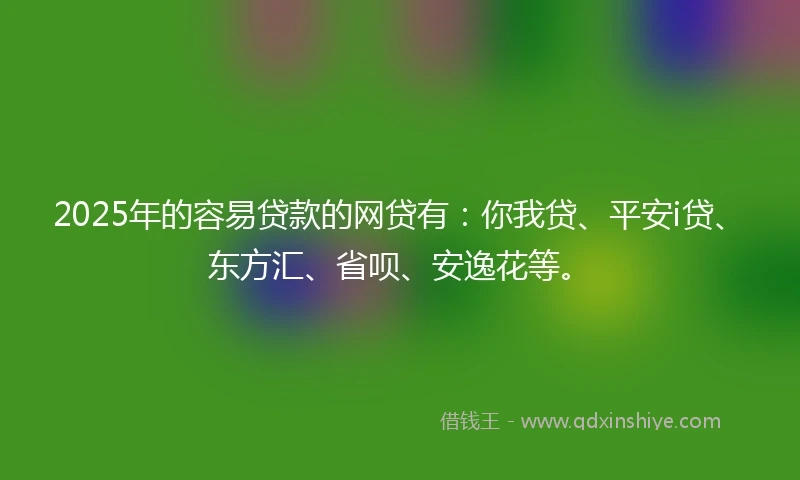 2025年的容易贷款的网贷有：你我贷、平安i贷、东方汇、省呗、安逸花等。