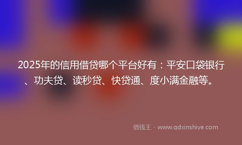 2025年的信用借贷哪个平台好有：平安口袋银行、功夫贷、读秒贷、快贷通、度小满金融等。