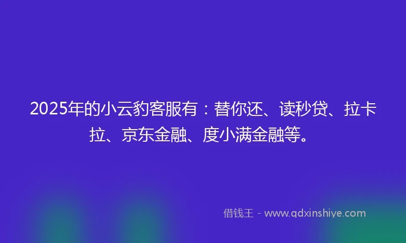 2025年的小云豹客服有：替你还、读秒贷、拉卡拉、京东金融、度小满金融等。