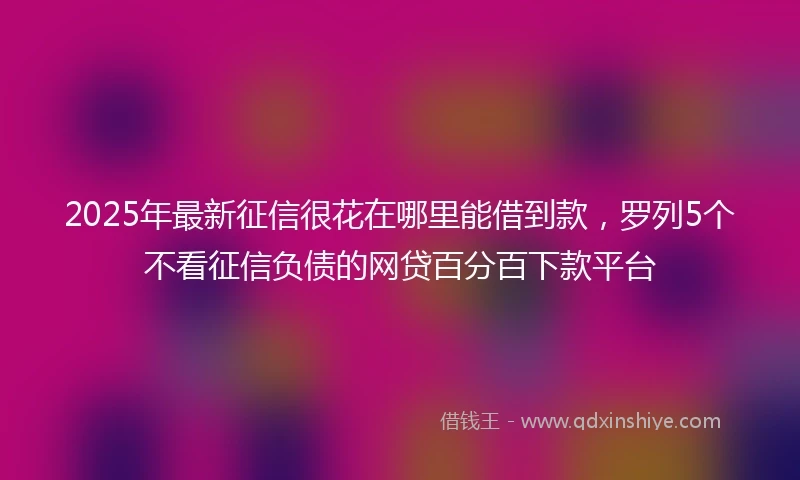 2025年最新征信很花在哪里能借到款，罗列5个不看征信负债的网贷百分百下款平台