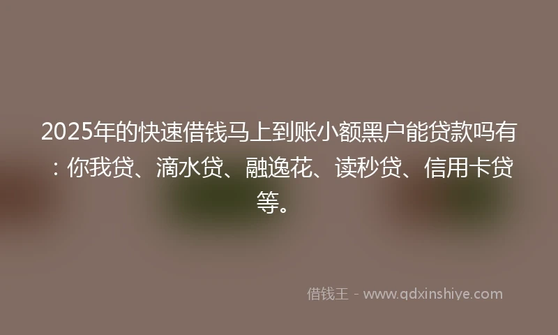 2025年的快速借钱马上到账小额黑户能贷款吗有：你我贷、滴水贷、融逸花、读秒贷、信用卡贷等。