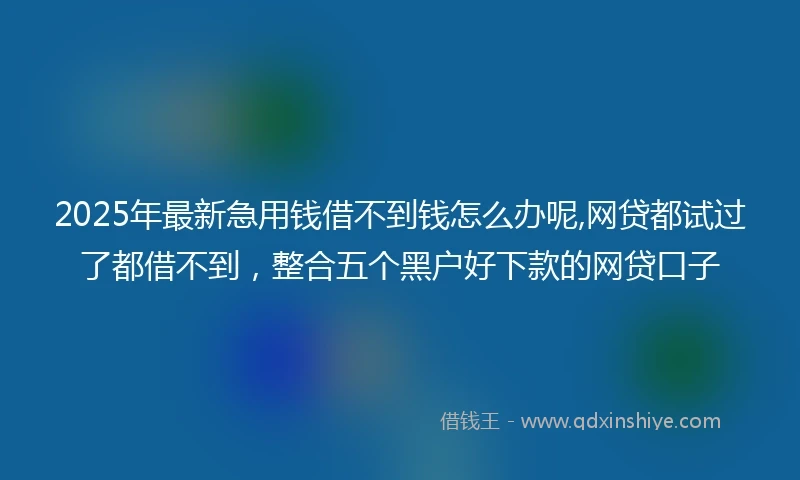 2025年最新急用钱借不到钱怎么办呢,网贷都试过了都借不到，整合五个黑户好下款的网贷口子