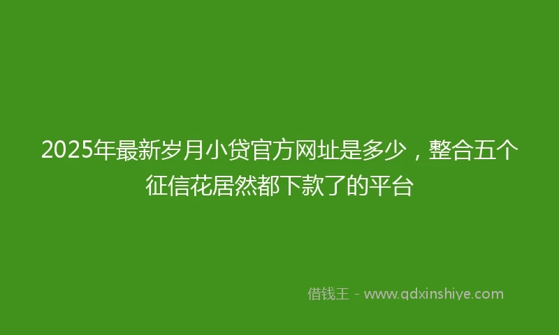 2025年最新岁月小贷官方网址是多少，整合五个征信花居然都下款了的平台