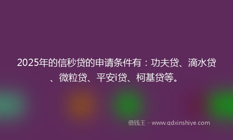 2025年的信秒贷的申请条件有：功夫贷、滴水贷、微粒贷、平安i贷、柯基贷等。