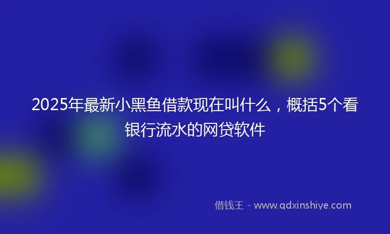 2025年最新小黑鱼借款现在叫什么，概括5个看银行流水的网贷软件