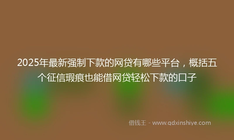 2025年最新强制下款的网贷有哪些平台，概括五个征信瑕疵也能借网贷轻松下款的口子
