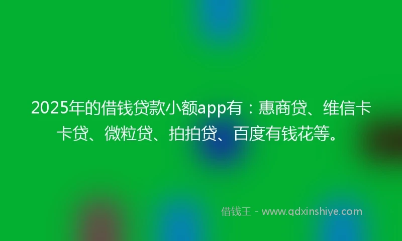 2025年的借钱贷款小额app有：惠商贷、维信卡卡贷、微粒贷、拍拍贷、百度有钱花等。