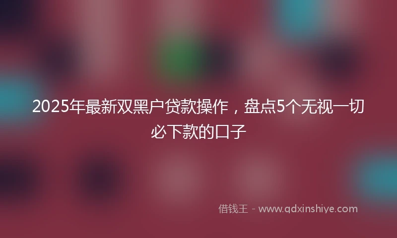 2025年最新双黑户贷款操作，盘点5个无视一切必下款的口子