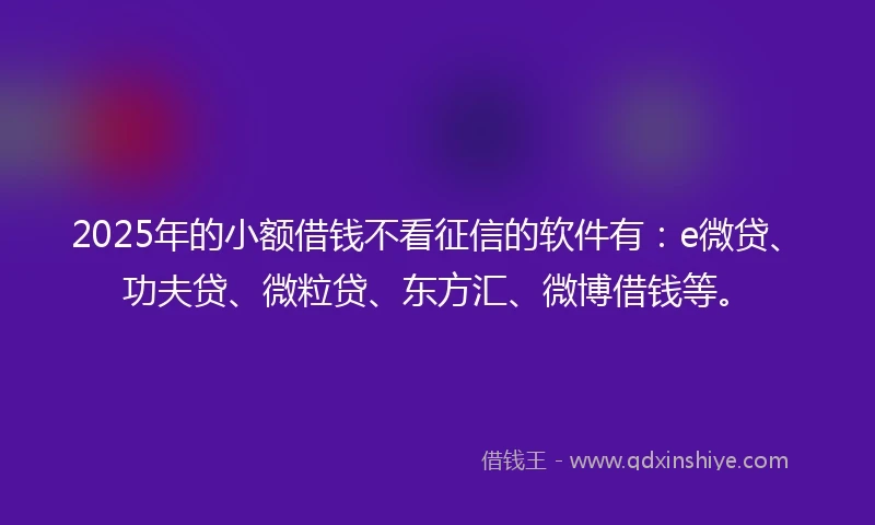 2025年的小额借钱不看征信的软件有：e微贷、功夫贷、微粒贷、东方汇、微博借钱等。