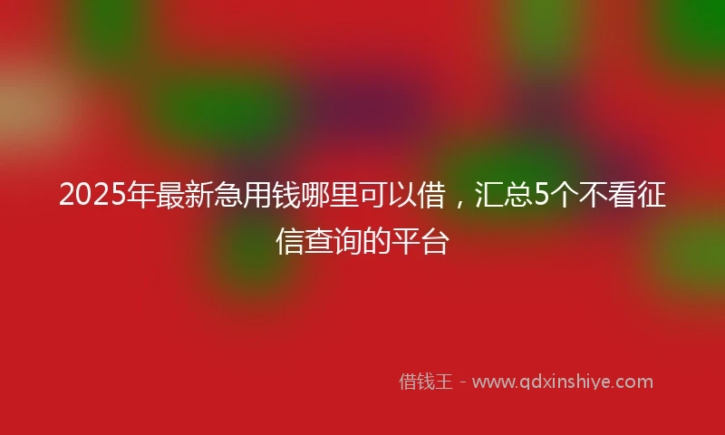 2025年最新急用钱哪里可以借，汇总5个不看征信查询的平台