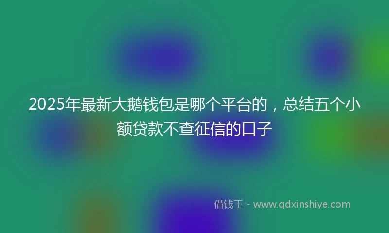 2025年最新大鹅钱包是哪个平台的，总结五个小额贷款不查征信的口子