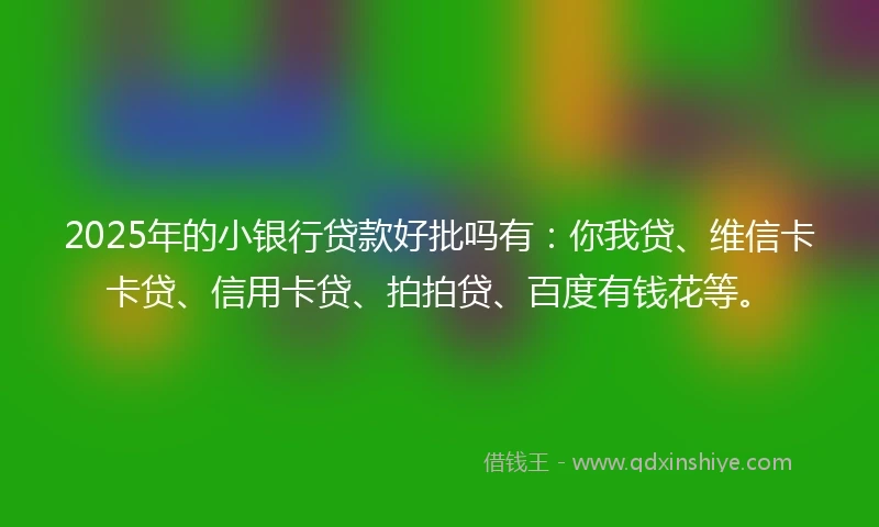 2025年的小银行贷款好批吗有：你我贷、维信卡卡贷、信用卡贷、拍拍贷、百度有钱花等。
