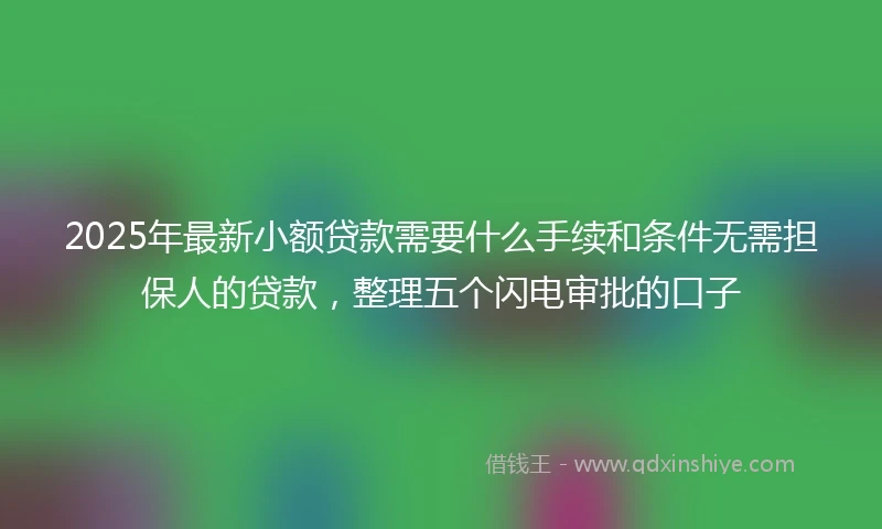 2025年最新小额贷款需要什么手续和条件无需担保人的贷款，整理五个闪电审批的口子
