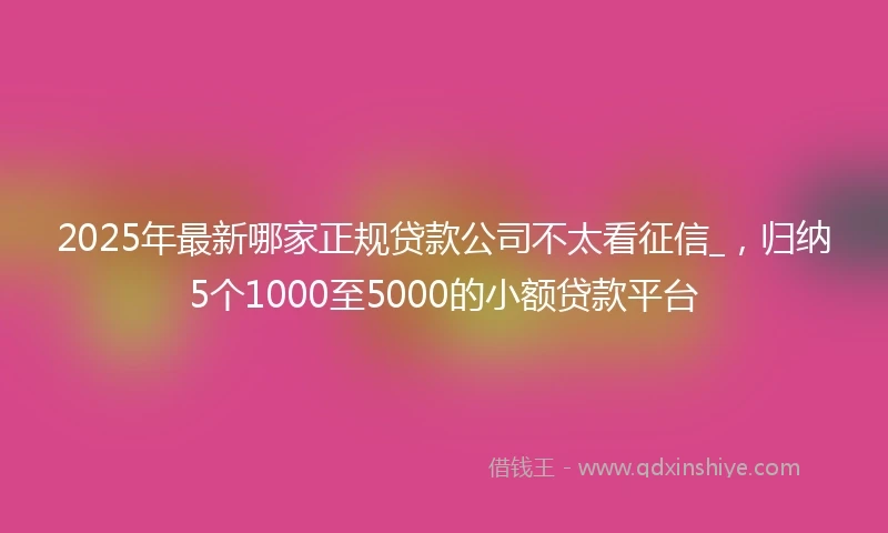 2025年最新哪家正规贷款公司不太看征信_，归纳5个1000至5000的小额贷款平台