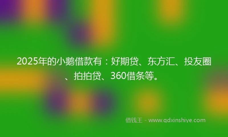 2025年的小鹅借款有：好期贷、东方汇、投友圈、拍拍贷、360借条等。
