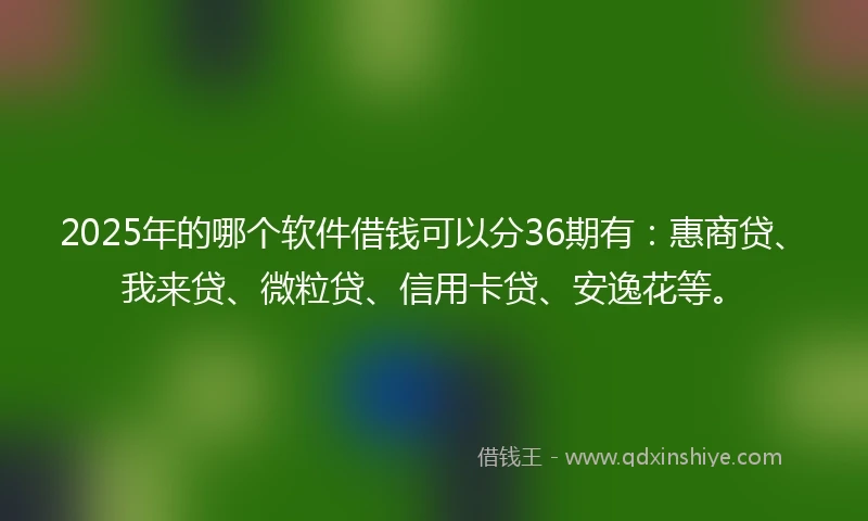 2025年的哪个软件借钱可以分36期有：惠商贷、我来贷、微粒贷、信用卡贷、安逸花等。