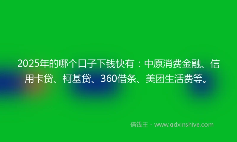 2025年的哪个口子下钱快有：中原消费金融、信用卡贷、柯基贷、360借条、美团生活费等。