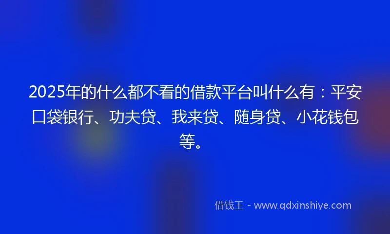 2025年的什么都不看的借款平台叫什么有：平安口袋银行、功夫贷、我来贷、随身贷、小花钱包等。