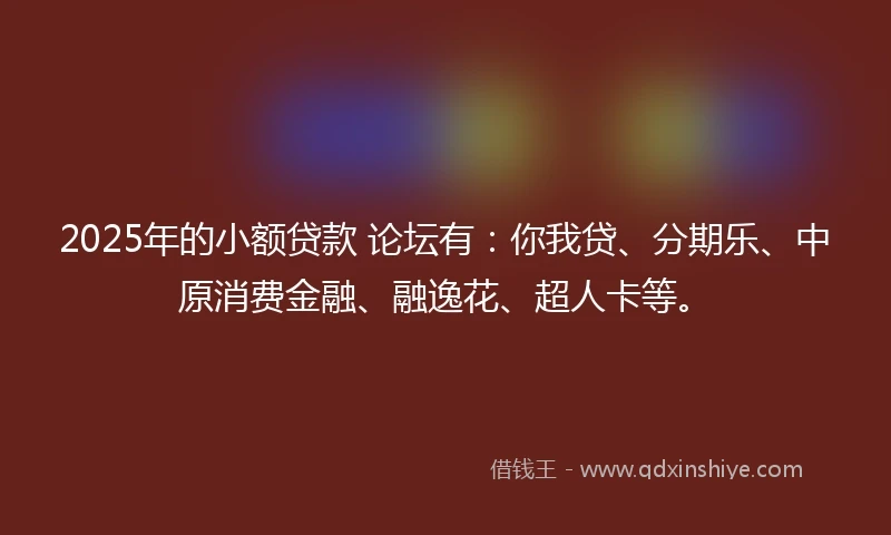 2025年的小额贷款 论坛有：你我贷、分期乐、中原消费金融、融逸花、超人卡等。