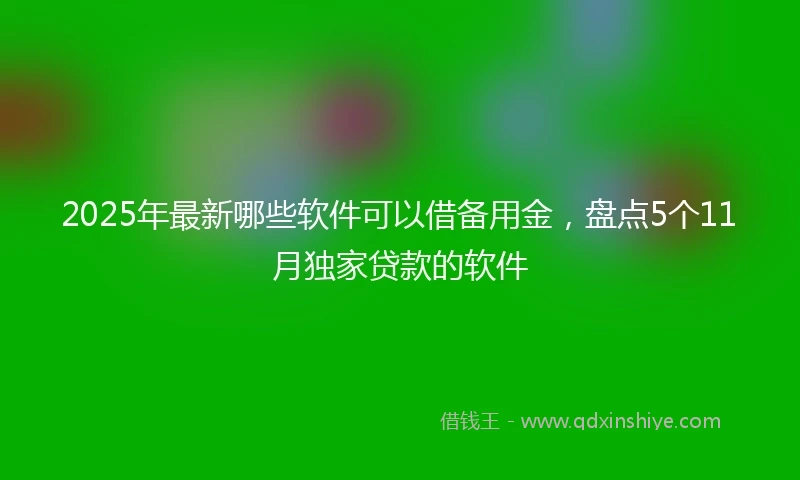 2025年最新哪些软件可以借备用金，盘点5个11月独家贷款的软件
