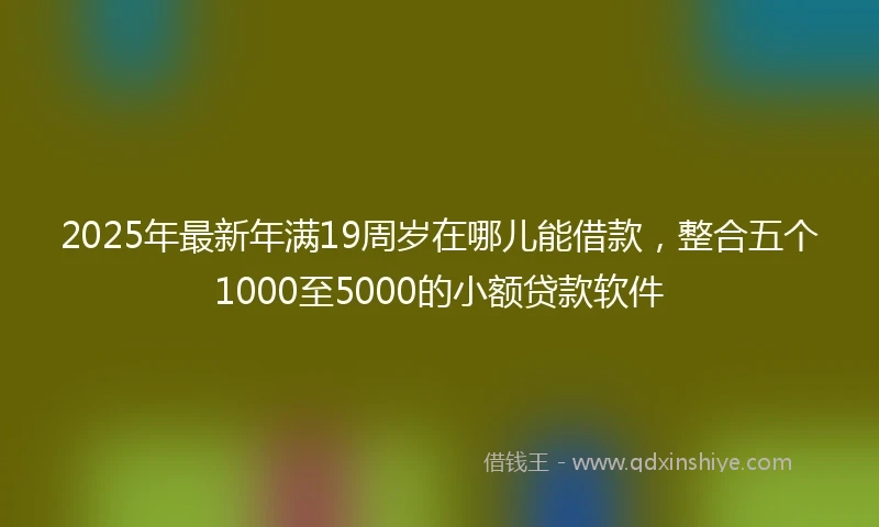 2025年最新年满19周岁在哪儿能借款，整合五个1000至5000的小额贷款软件