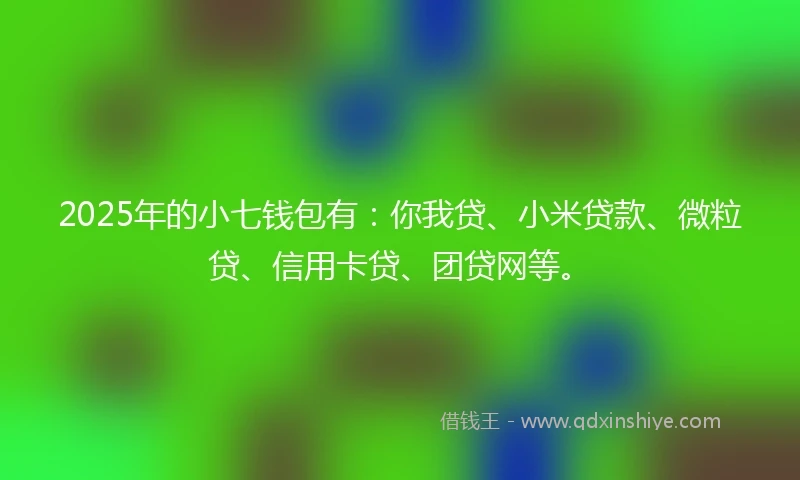 2025年的小七钱包有：你我贷、小米贷款、微粒贷、信用卡贷、团贷网等。