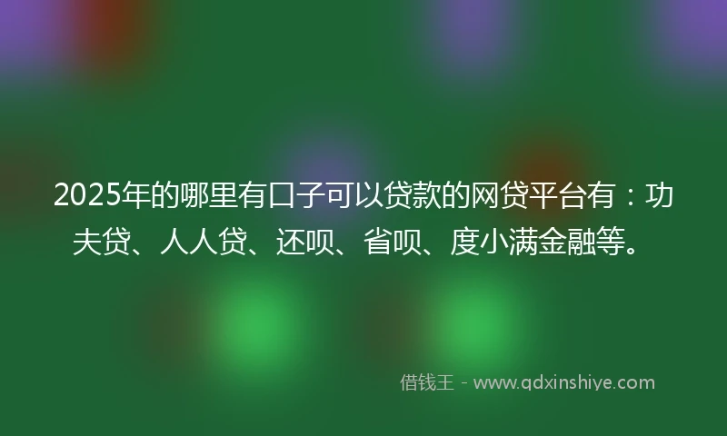 2025年的哪里有口子可以贷款的网贷平台有：功夫贷、人人贷、还呗、省呗、度小满金融等。