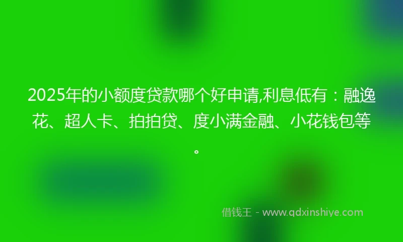 2025年的小额度贷款哪个好申请,利息低有：融逸花、超人卡、拍拍贷、度小满金融、小花钱包等。