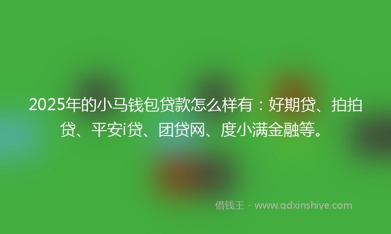 2025年的小马钱包贷款怎么样有：好期贷、拍拍贷、平安i贷、团贷网、度小满金融等。