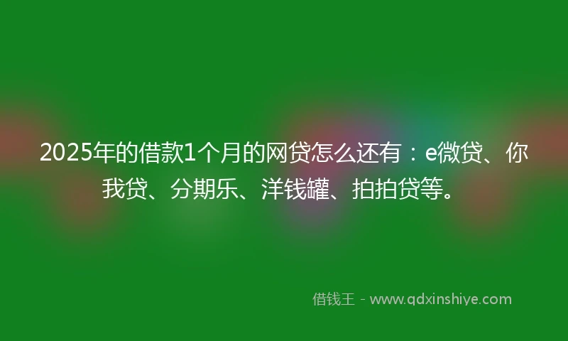 2025年的借款1个月的网贷怎么还有：e微贷、你我贷、分期乐、洋钱罐、拍拍贷等。