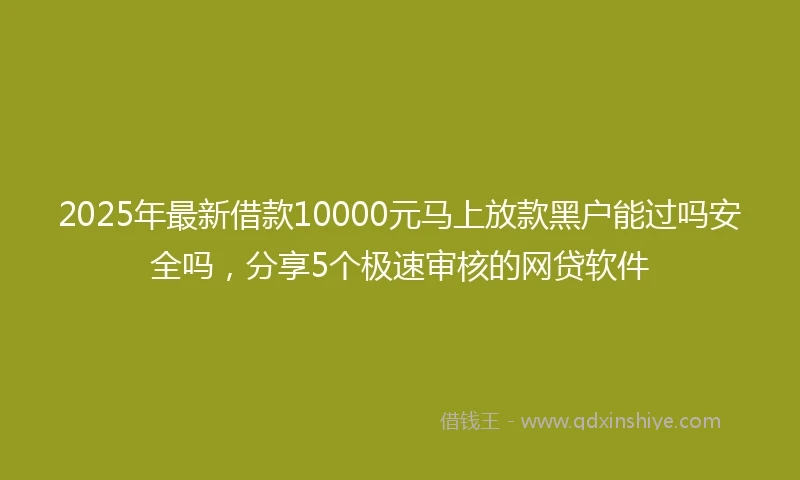 2025年最新借款10000元马上放款黑户能过吗安全吗，分享5个极速审核的网贷软件