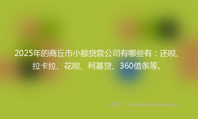 2025年的商丘市小额贷款公司有哪些有：还呗、拉卡拉、花呗、柯基贷、360借条等。