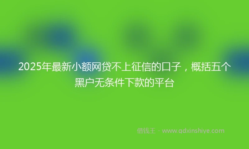 2025年最新小额网贷不上征信的口子，概括五个黑户无条件下款的平台