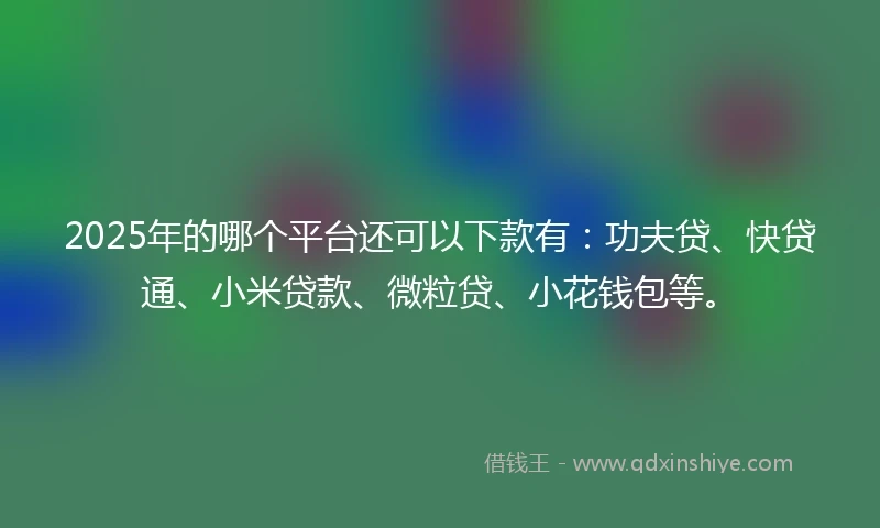2025年的哪个平台还可以下款有：功夫贷、快贷通、小米贷款、微粒贷、小花钱包等。
