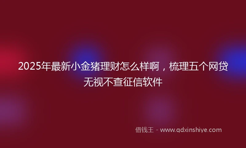 2025年最新小金猪理财怎么样啊，梳理五个网贷无视不查征信软件