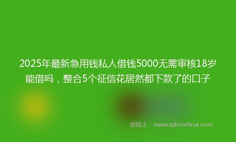2025年最新急用钱私人借钱5000无需审核18岁能借吗，整合5个征信花居然都下款了的口子