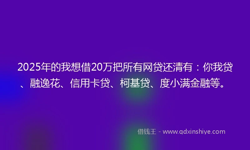 2025年的我想借20万把所有网贷还清有：你我贷、融逸花、信用卡贷、柯基贷、度小满金融等。
