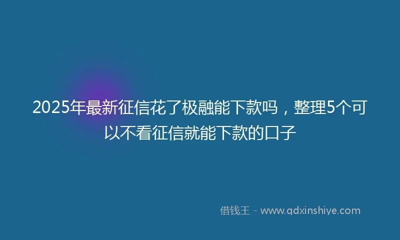 2025年最新征信花了极融能下款吗，整理5个可以不看征信就能下款的口子