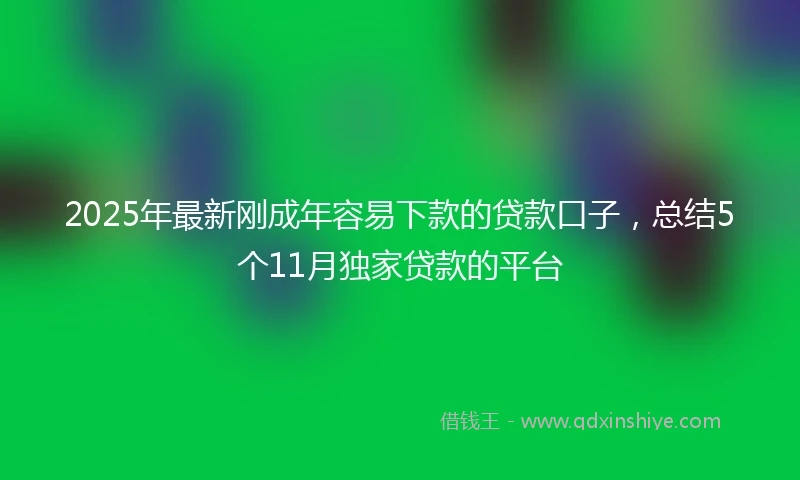 2025年最新刚成年容易下款的贷款口子，总结5个11月独家贷款的平台