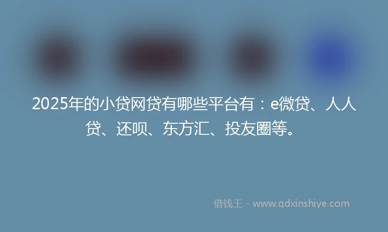 2025年的小贷网贷有哪些平台有：e微贷、人人贷、还呗、东方汇、投友圈等。