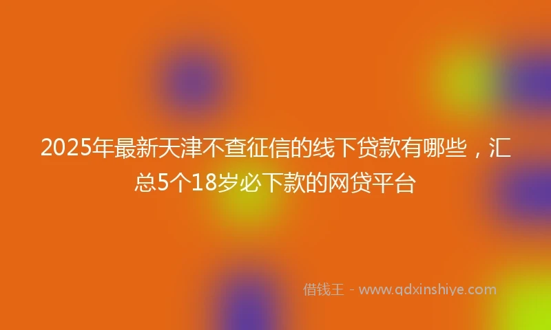 2025年最新天津不查征信的线下贷款有哪些，汇总5个18岁必下款的网贷平台