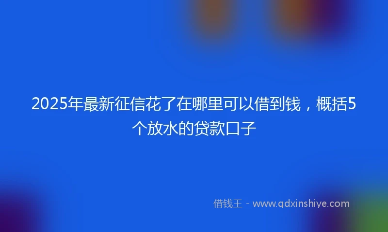 2025年最新征信花了在哪里可以借到钱，概括5个放水的贷款口子
