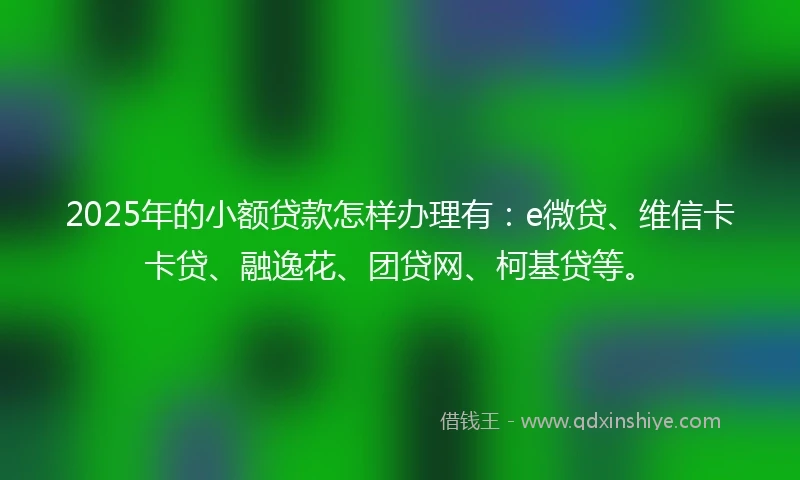 2025年的小额贷款怎样办理有：e微贷、维信卡卡贷、融逸花、团贷网、柯基贷等。
