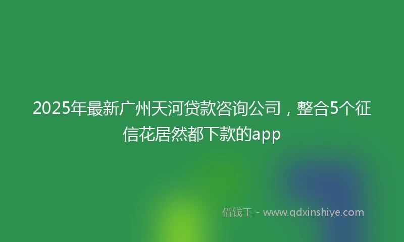 2025年最新广州天河贷款咨询公司，整合5个征信花居然都下款的app