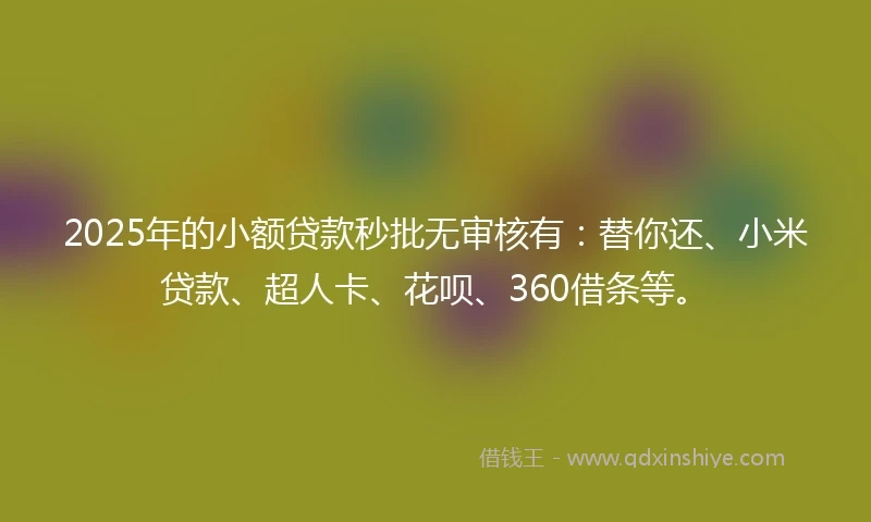 2025年的小额贷款秒批无审核有：替你还、小米贷款、超人卡、花呗、360借条等。