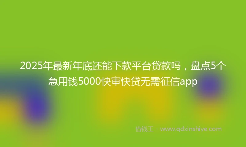 2025年最新年底还能下款平台贷款吗，盘点5个急用钱5000快审快贷无需征信app