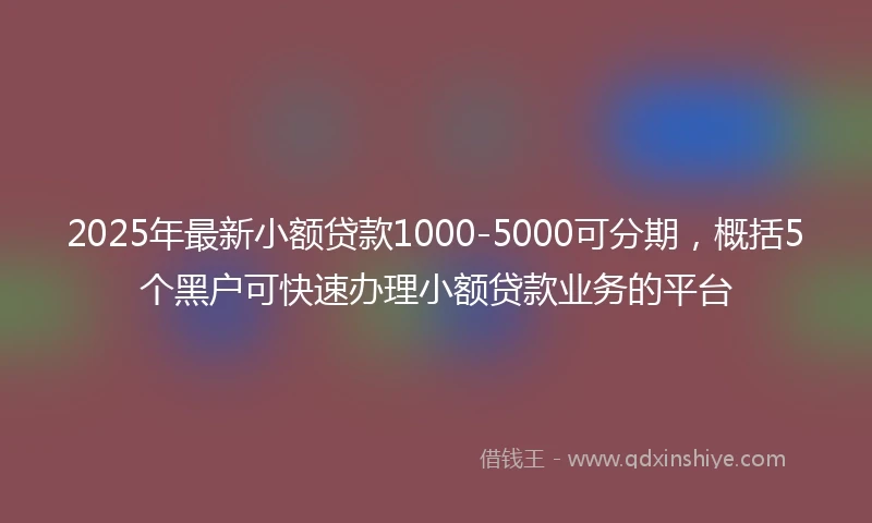 2025年最新小额贷款1000-5000可分期，概括5个黑户可快速办理小额贷款业务的平台