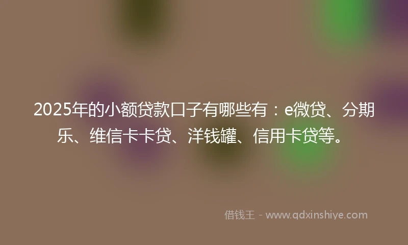 2025年的小额贷款口子有哪些有：e微贷、分期乐、维信卡卡贷、洋钱罐、信用卡贷等。